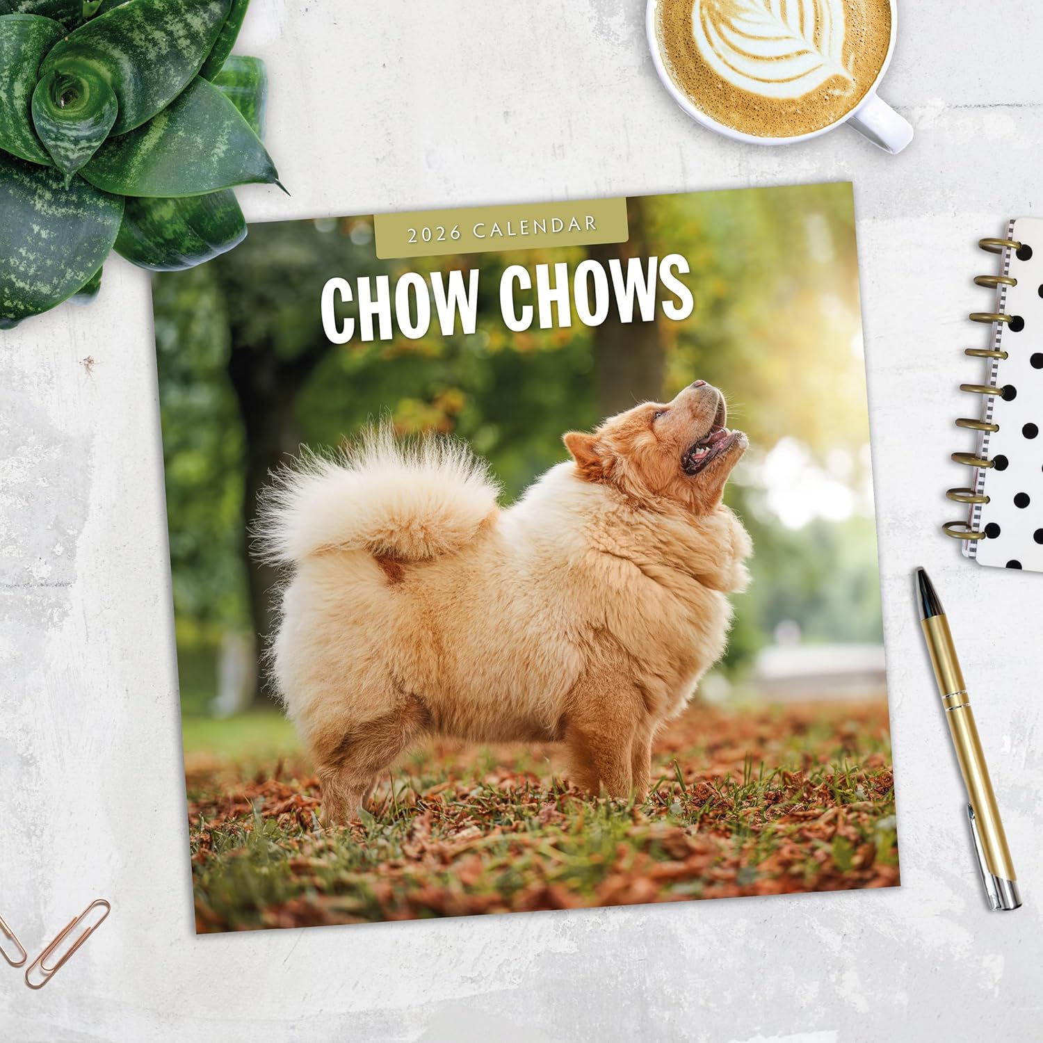 Red Robin 2026 Chow Chows Monthly Wall Calendar | 12" x 24" Open | Premium Thick & Sturdy Paper | Hangable 12 Month Calendar | Lined Notes & To Do Area | Vivid Images | Plastic Free