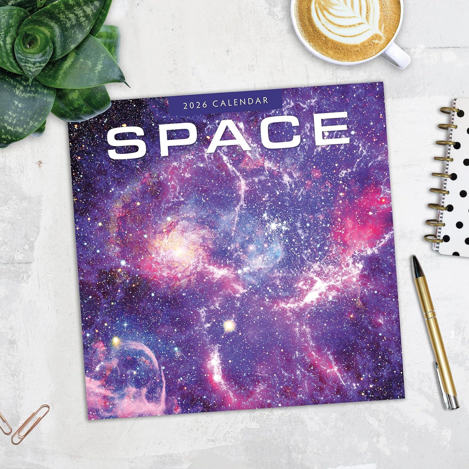 Red Robin 2026 Space Monthly Wall Calendar | 12" x 24" Open | Premium Thick & Sturdy Paper | Hangable 12 Month Calendar | Lined Notes & To Do Area | Vivid Images | Plastic Free