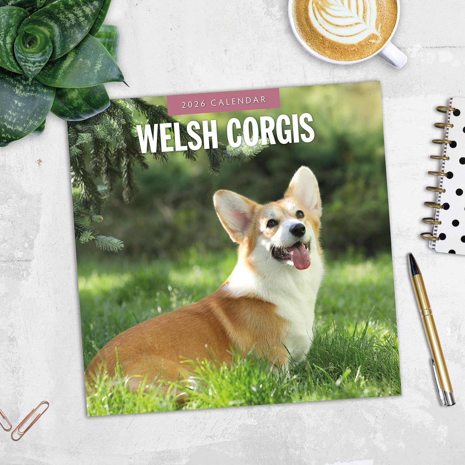 Red Robin 2026 Welsh Corgis Monthly Wall Calendar | 12" x 24" Open | Premium Thick & Sturdy Paper | Hangable 12 Month Calendar | Lined Notes & To Do Area | Vivid Images | Plastic Free