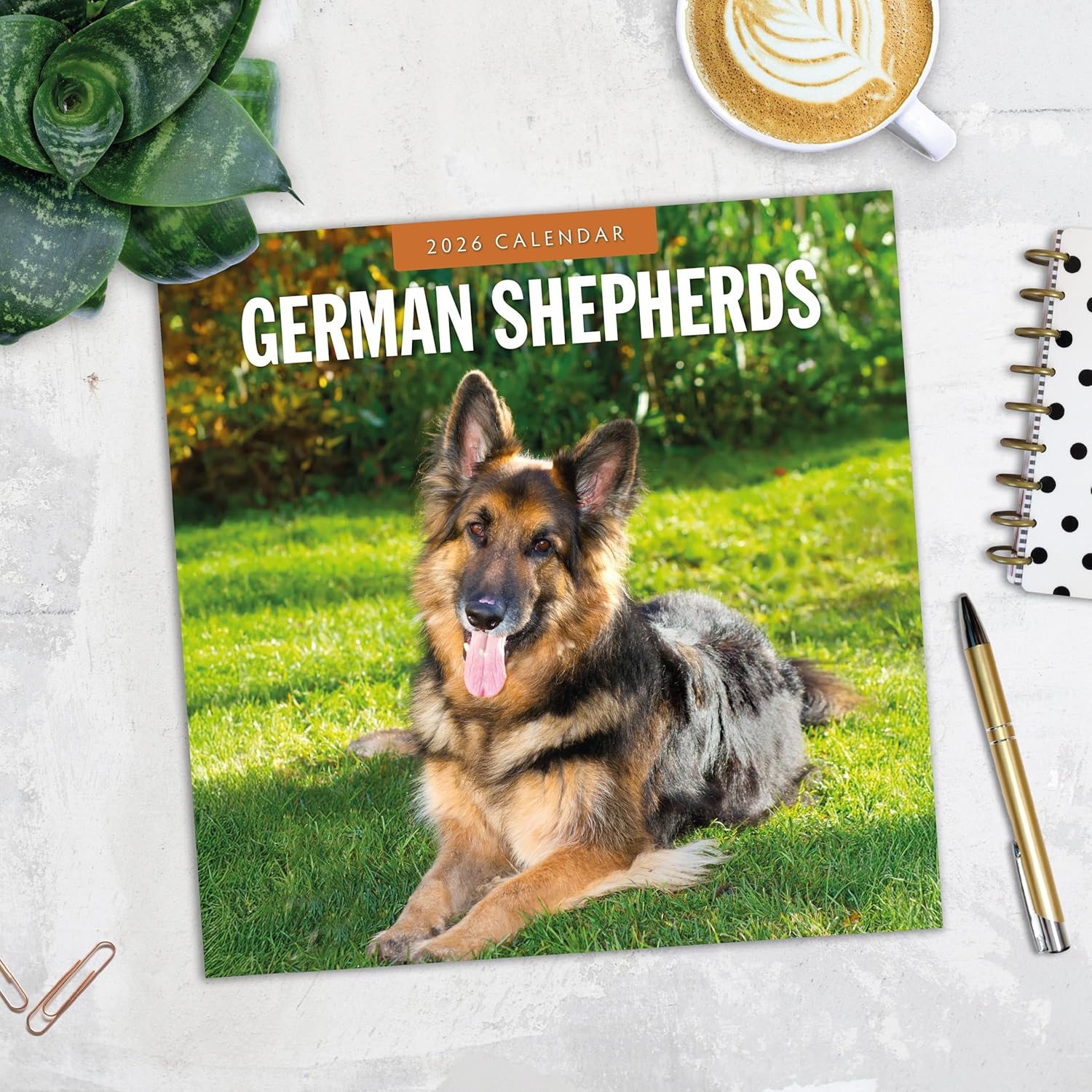 Red Robin 2026 German Shepherds Monthly Wall Calendar | 12" x 24" Open | Premium Thick & Sturdy Paper | Hangable 12 Month Calendar | Lined Notes & To Do Area | Vivid Images | Plastic Free