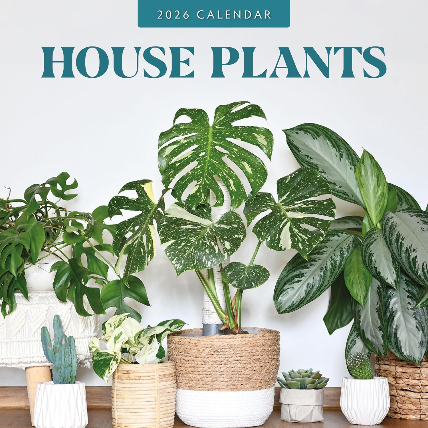 Red Robin 2026 House Plants Monthly Wall Calendar | 12" x 24" Open | Premium Thick & Sturdy Paper | Hangable 12 Month Calendar | Lined Notes & To Do Area | Vivid Images | Plastic Free