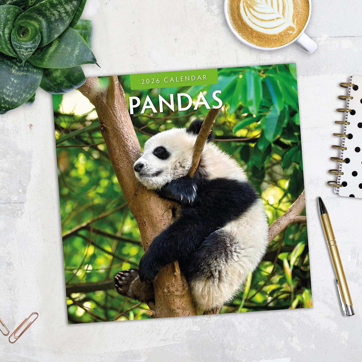 Red Robin 2026 Pandas Monthly Wall Calendar | 12" x 24" Open | Premium Thick & Sturdy Paper | Hangable 12 Month Calendar | Lined Notes & To Do Area | Vivid Images | Plastic Free
