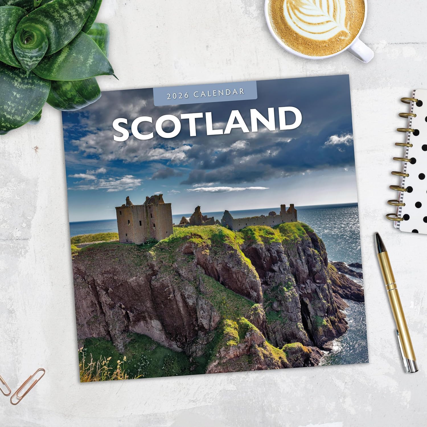 Red Robin 2026 Scotland Monthly Wall Calendar | 12" x 24" Open | Premium Thick & Sturdy Paper | Hangable 12 Month Calendar | Lined Notes & To Do Area | Vivid Images | Plastic Free