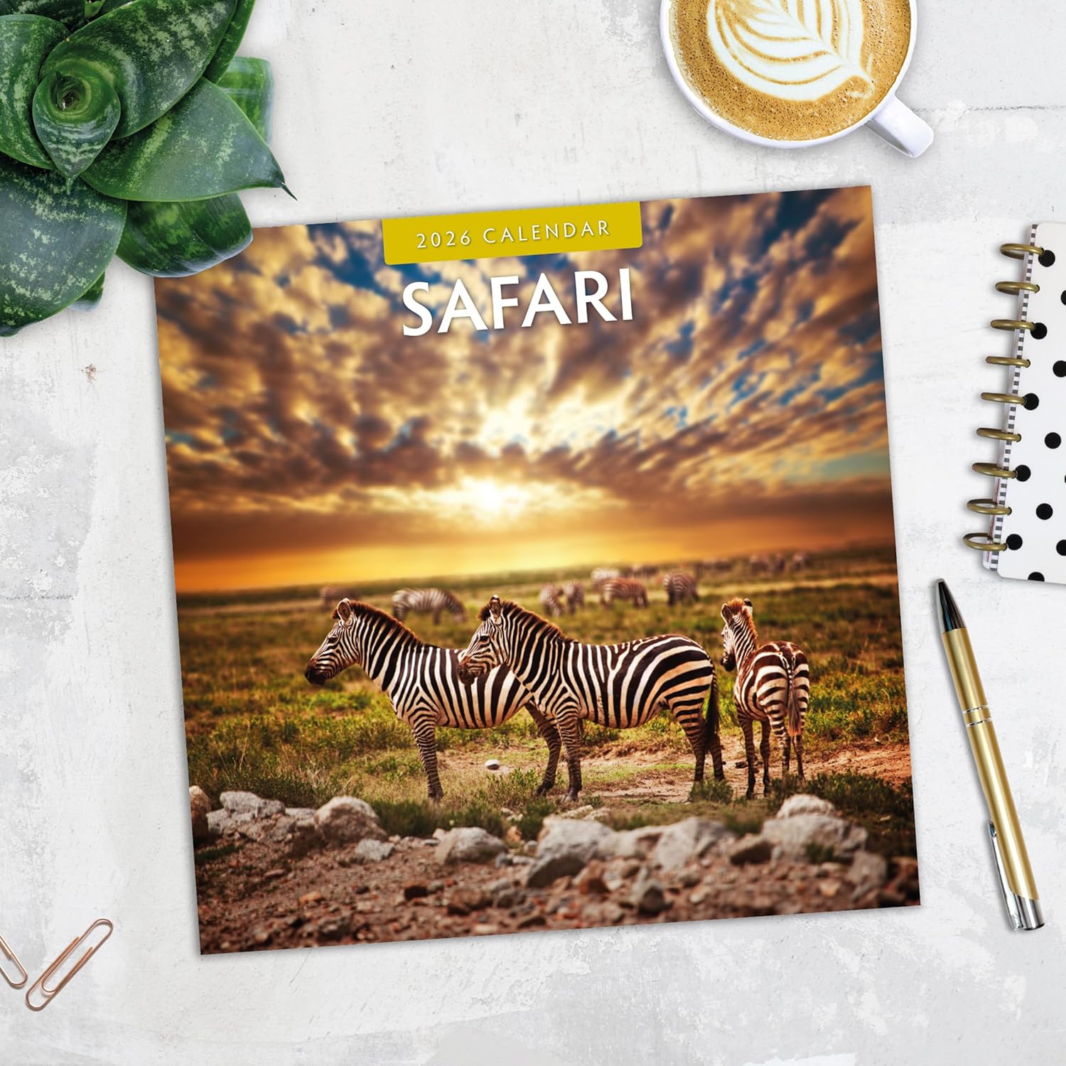 Red Robin 2026 Safari Monthly Wall Calendar | 12" x 24" Open | Premium Thick & Sturdy Paper | Hangable 12 Month Calendar | Lined Notes & To Do Area | Vivid Images | Plastic Free