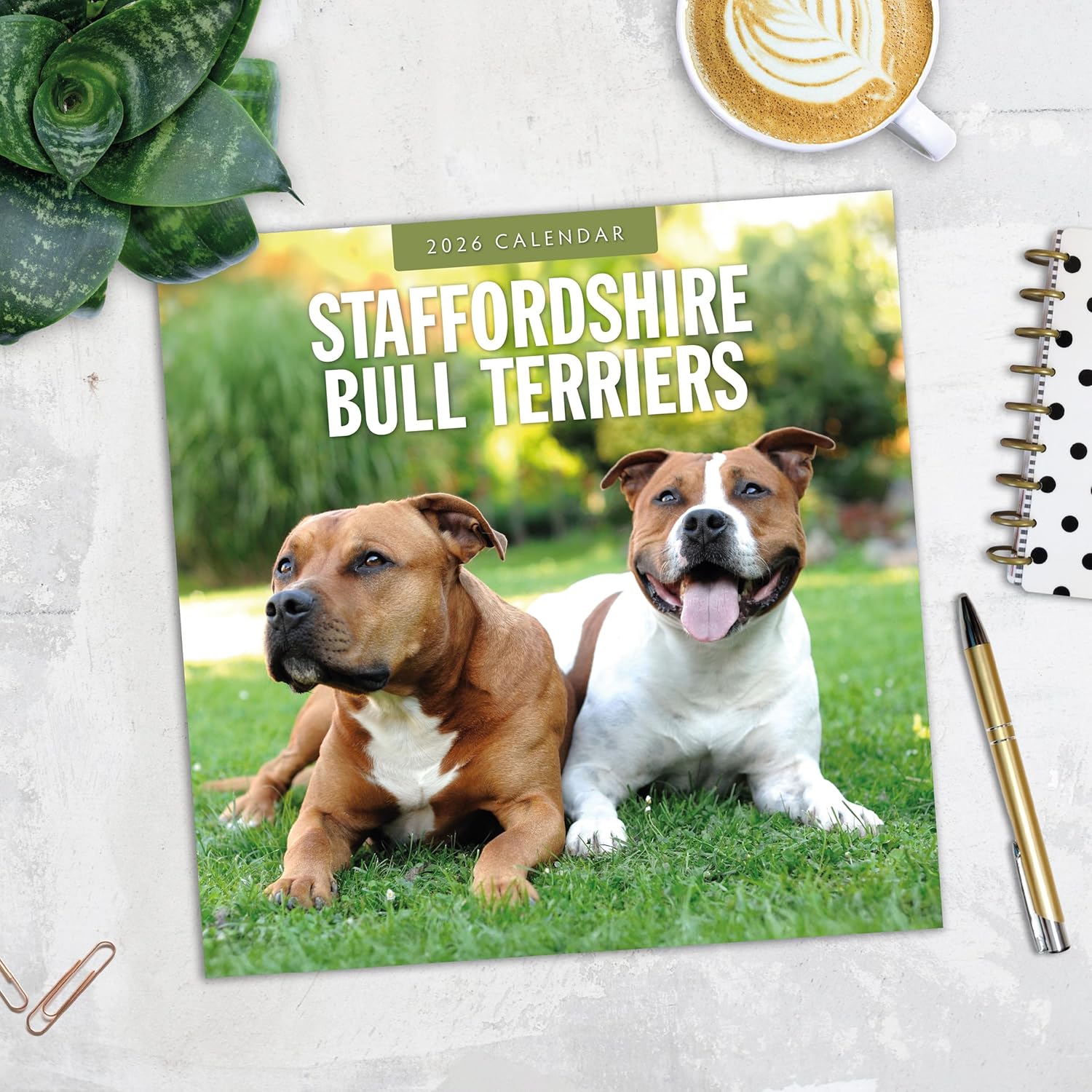 Red Robin 2026 Staffordshire Bull Terriers Monthly Wall Calendar | 12" x 24" Open | Premium Thick & Sturdy Paper | Hangable 12 Month Calendar | Lined Notes & To Do Area | Vivid Images | Plastic Free