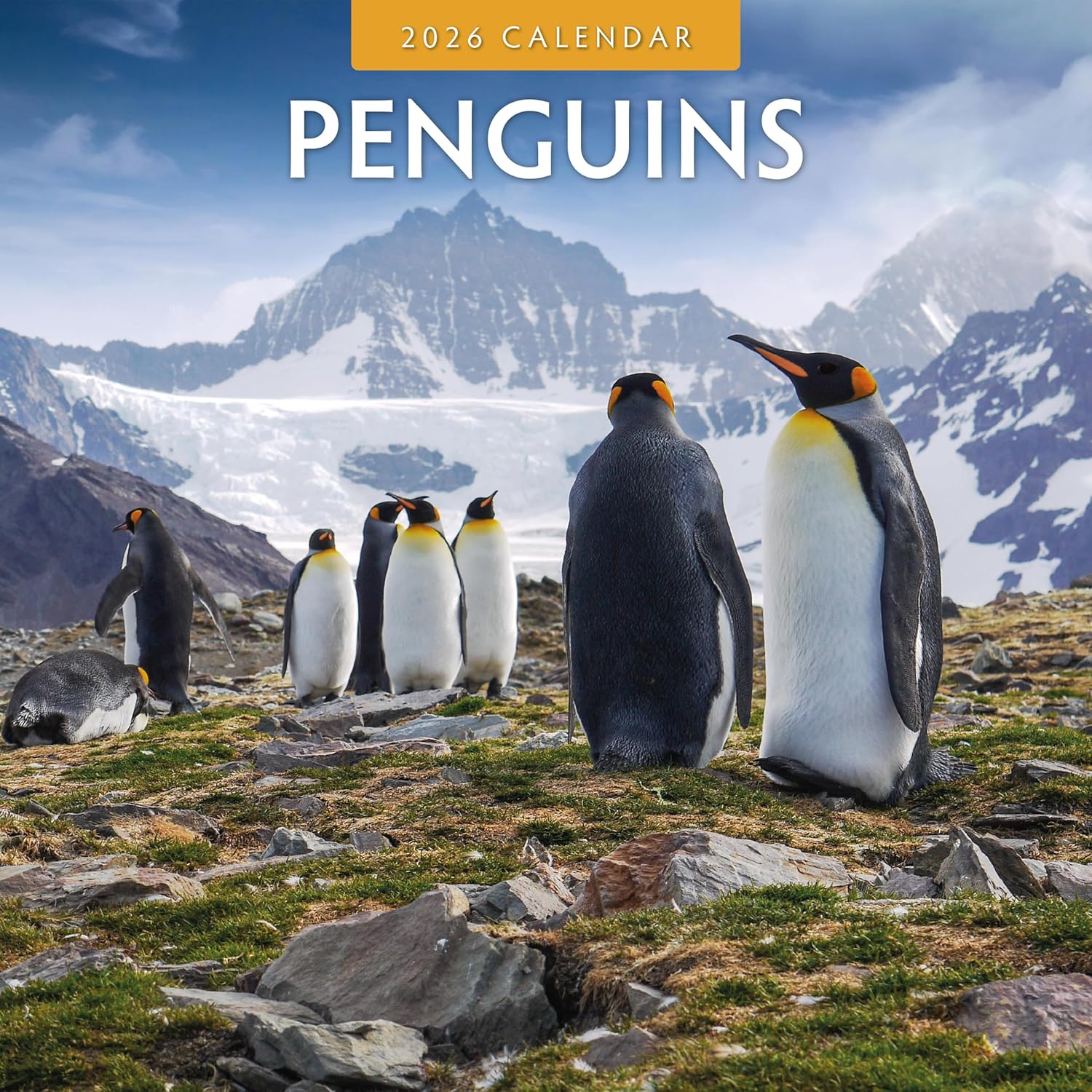 Red Robin 2026 Penguins Monthly Wall Calendar | 12" x 24" Open | Premium Thick & Sturdy Paper | Hangable 12 Month Calendar | Lined Notes & To Do Area | Vivid Images | Plastic Free