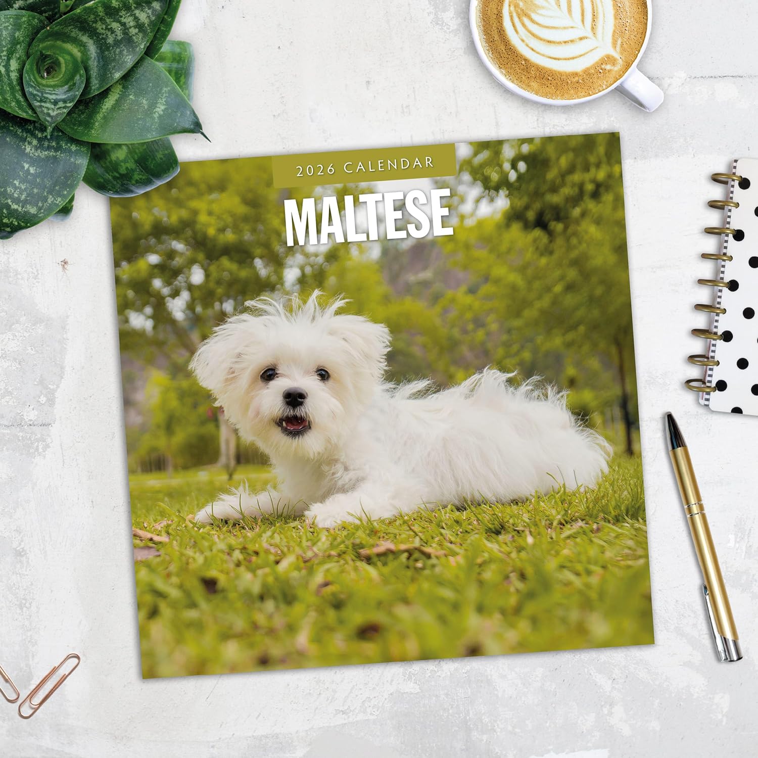 Red Robin 2026 Maltese Monthly Wall Calendar | 12" x 24" Open | Premium Thick & Sturdy Paper | Hangable 12 Month Calendar | Lined Notes & To Do Area | Vivid Images | Plastic Free