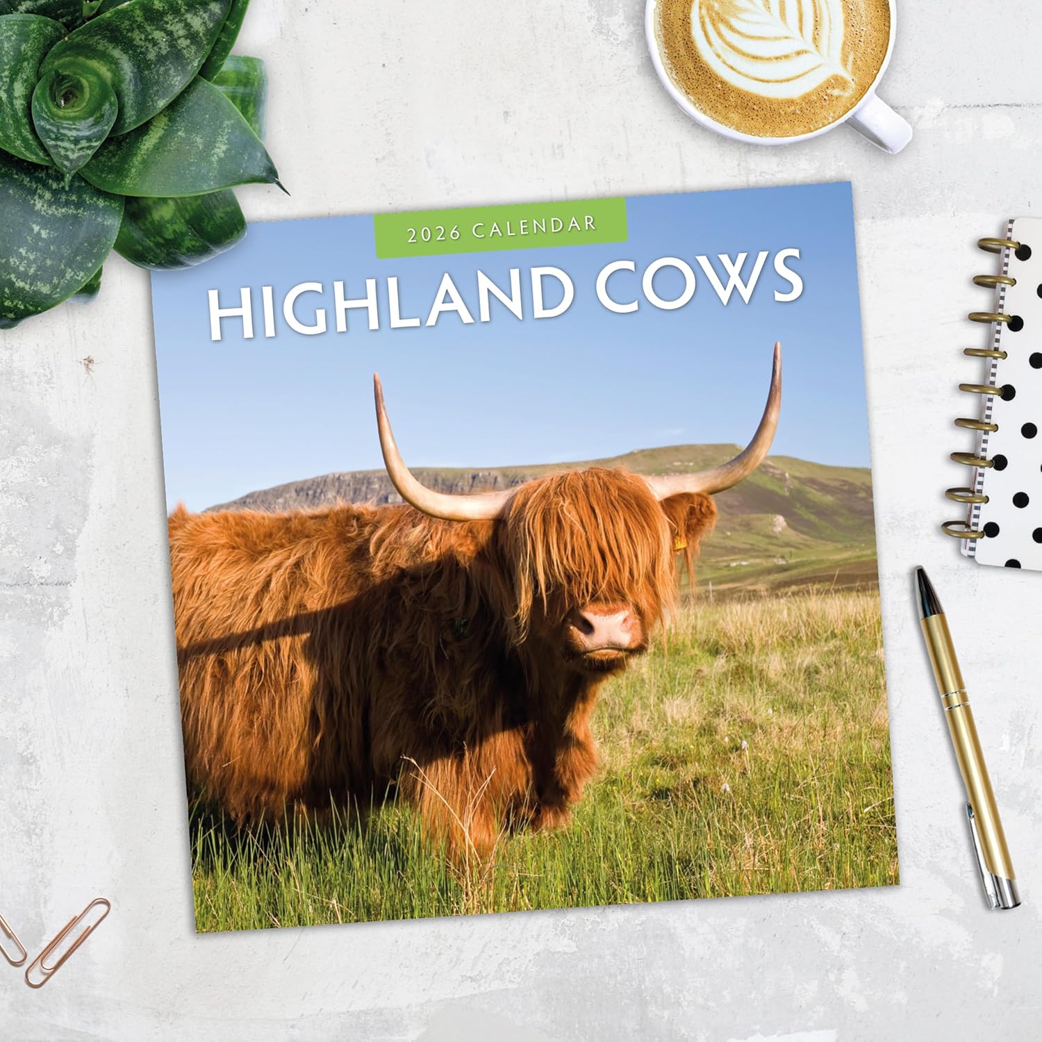 Red Robin 2026 Highland Cows Monthly Wall Calendar | 12" x 24" Open | Premium Thick & Sturdy Paper | Hangable 12 Month Calendar | Lined Notes & To Do Area | Vivid Images | Plastic Free