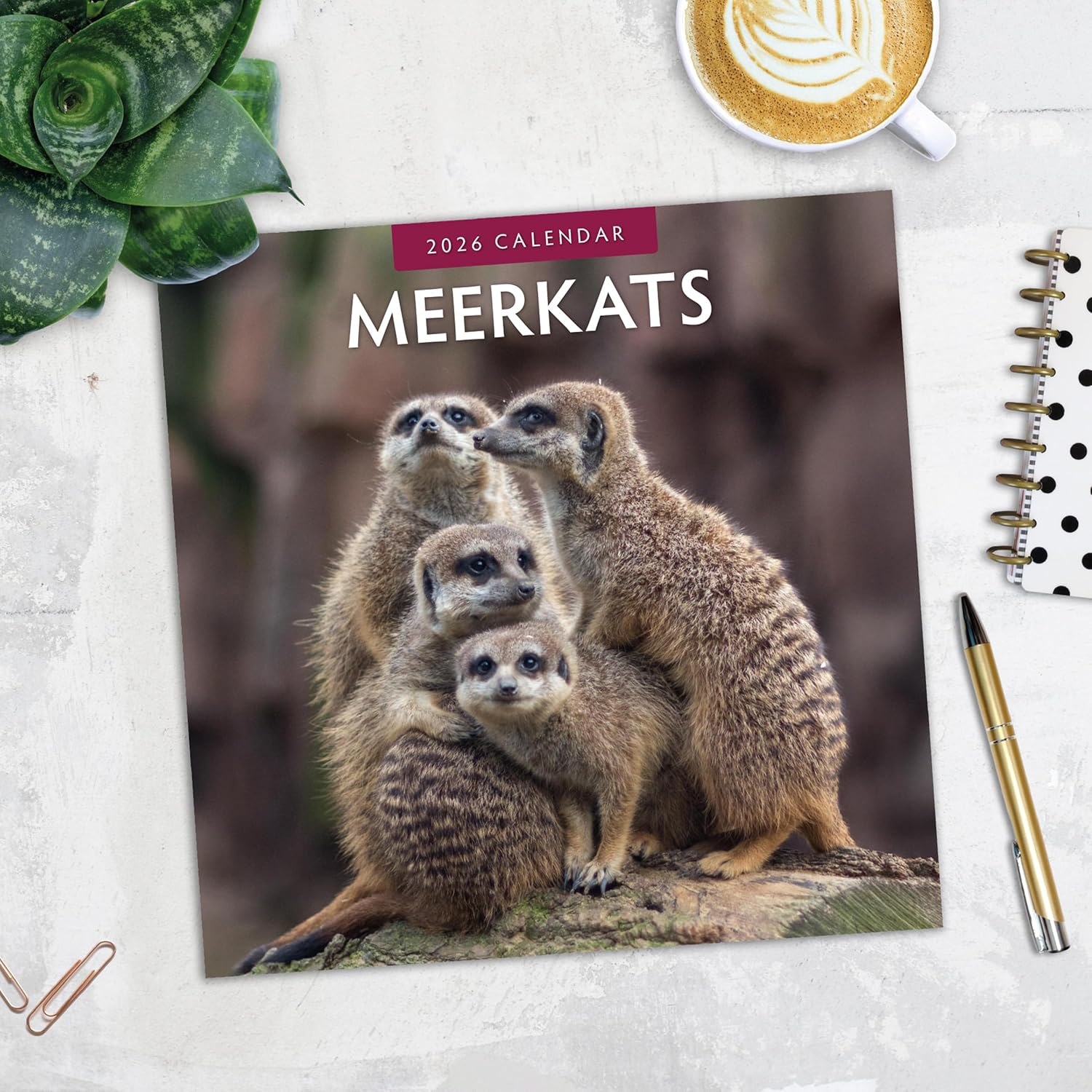 Red Robin 2026 Meerkats Monthly Wall Calendar | 12" x 24" Open | Premium Thick & Sturdy Paper | Hangable 12 Month Calendar | Lined Notes & To Do Area | Vivid Images | Plastic Free