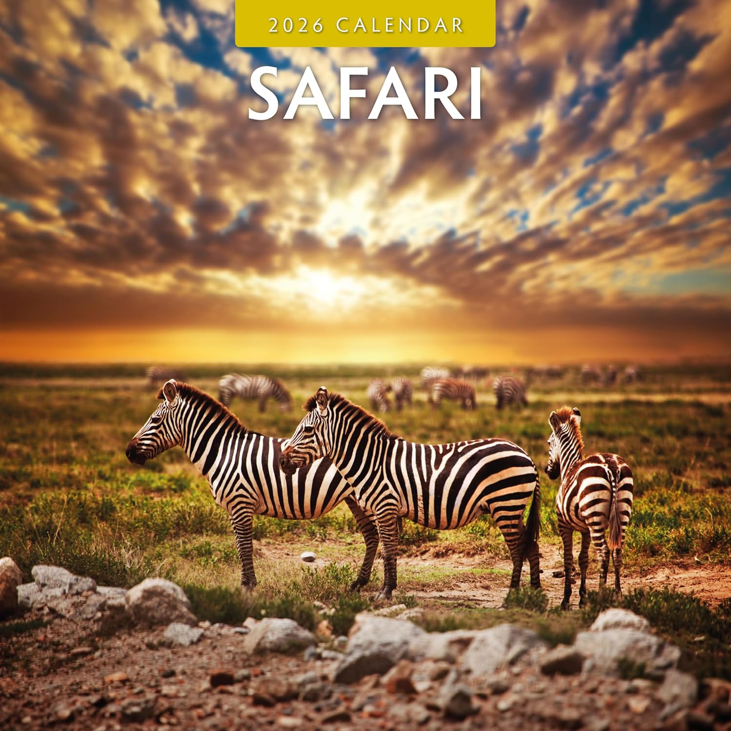 Red Robin 2026 Safari Monthly Wall Calendar | 12" x 24" Open | Premium Thick & Sturdy Paper | Hangable 12 Month Calendar | Lined Notes & To Do Area | Vivid Images | Plastic Free