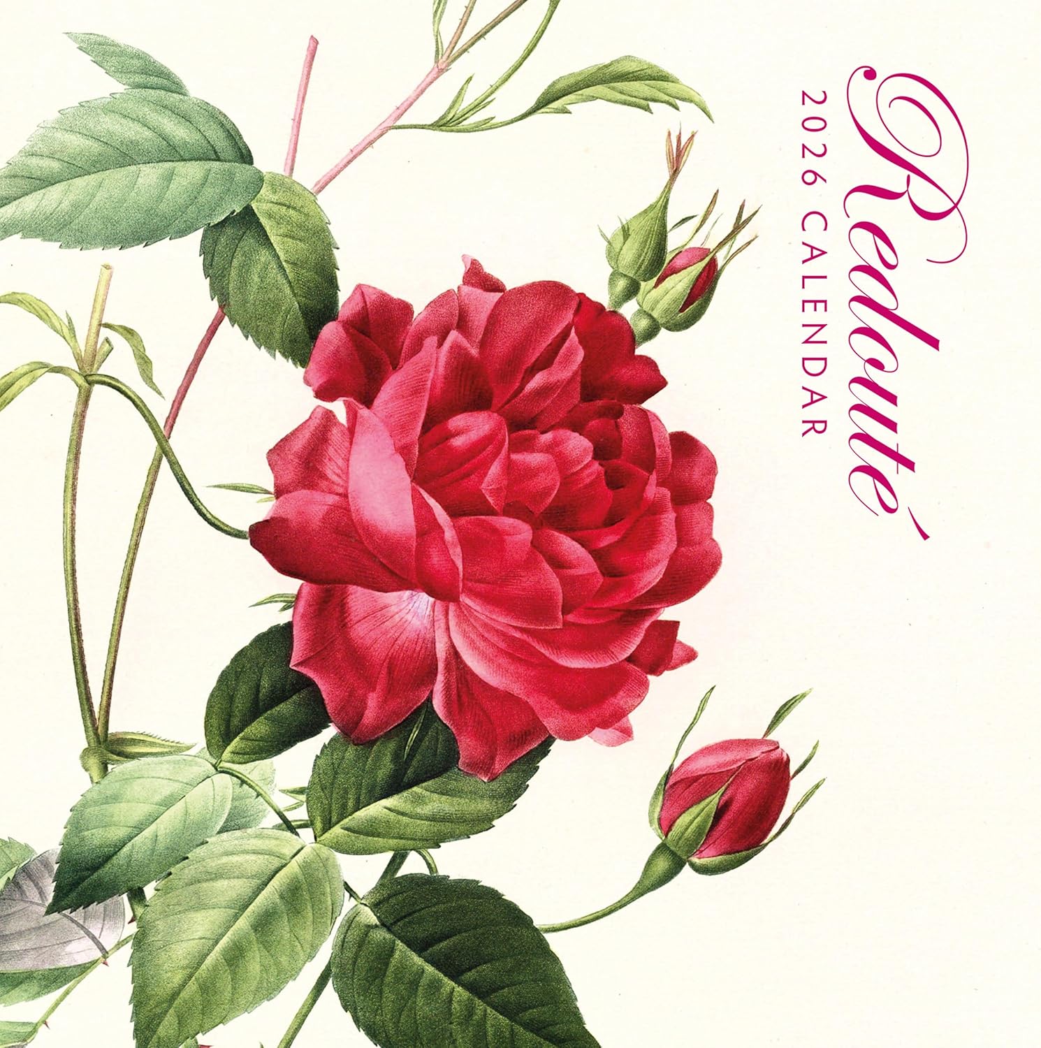 Red Robin 2026 Redoute Monthly Wall Calendar | 12" x 24" Open | Premium Thick & Sturdy Paper | Hangable 12 Month Calendar | Lined Notes & To Do Area | Vivid Images | Plastic Free