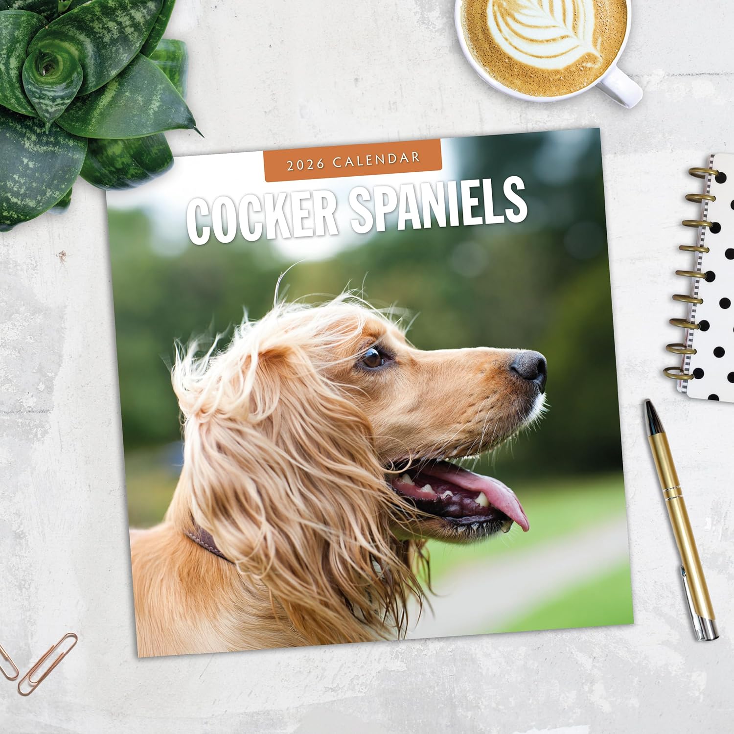 Red Robin 2026 Cocker Spaniels Monthly Wall Calendar | 12" x 24" Open | Premium Thick & Sturdy Paper | Hangable 12 Month Calendar | Lined Notes & To Do Area | Vivid Images | Plastic Free