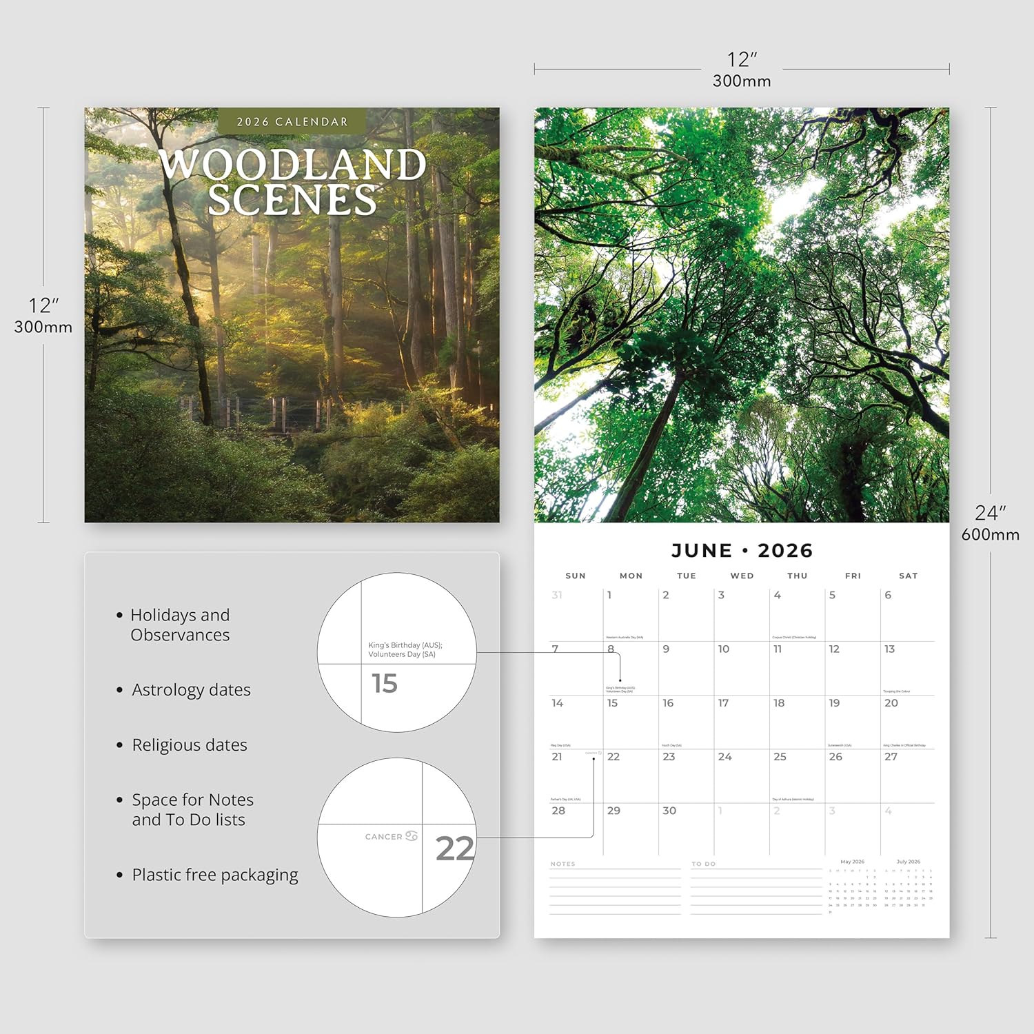 Red Robin 2026 Woodland Scenes Monthly Wall Calendar | 12" x 24" Open | Premium Thick & Sturdy Paper | Hangable 12 Month Calendar | Lined Notes & To Do Area | Vivid Images | Plastic Free