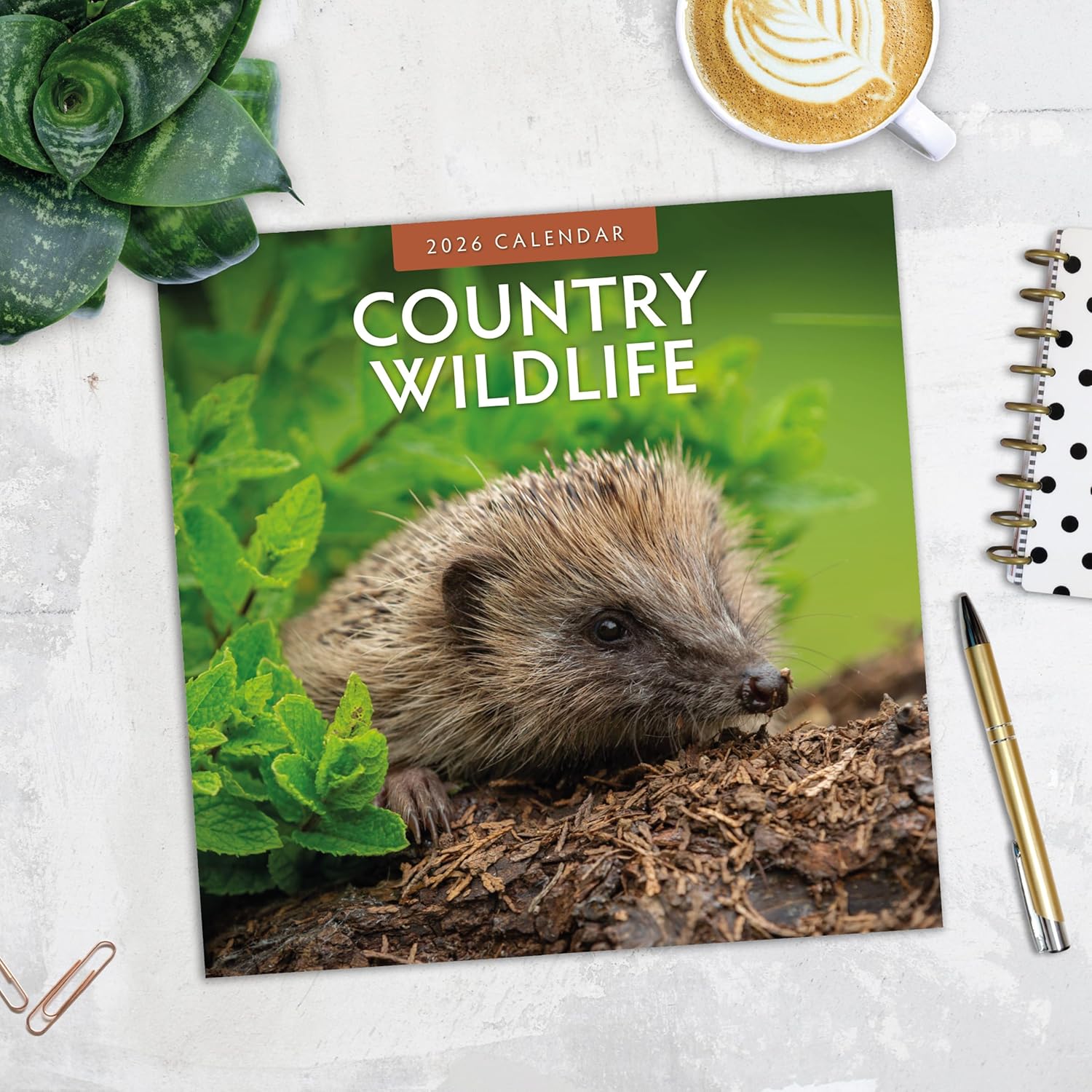 Red Robin 2026 Country Wildlife Monthly Wall Calendar | 12" x 24" Open | Premium Thick & Sturdy Paper | Hangable 12 Month Calendar | Lined Notes & To Do Area | Vivid Images | Plastic Free