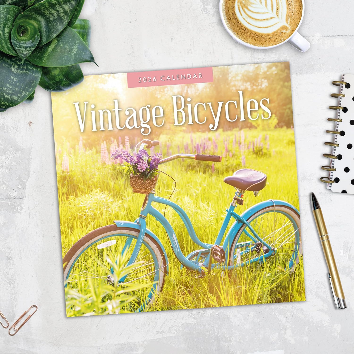 Red Robin 2026 Vintage Bicycles Monthly Wall Calendar | 12" x 24" Open | Premium Thick & Sturdy Paper | Hangable 12 Month Calendar | Lined Notes & To Do Area | Vivid Images | Plastic Free