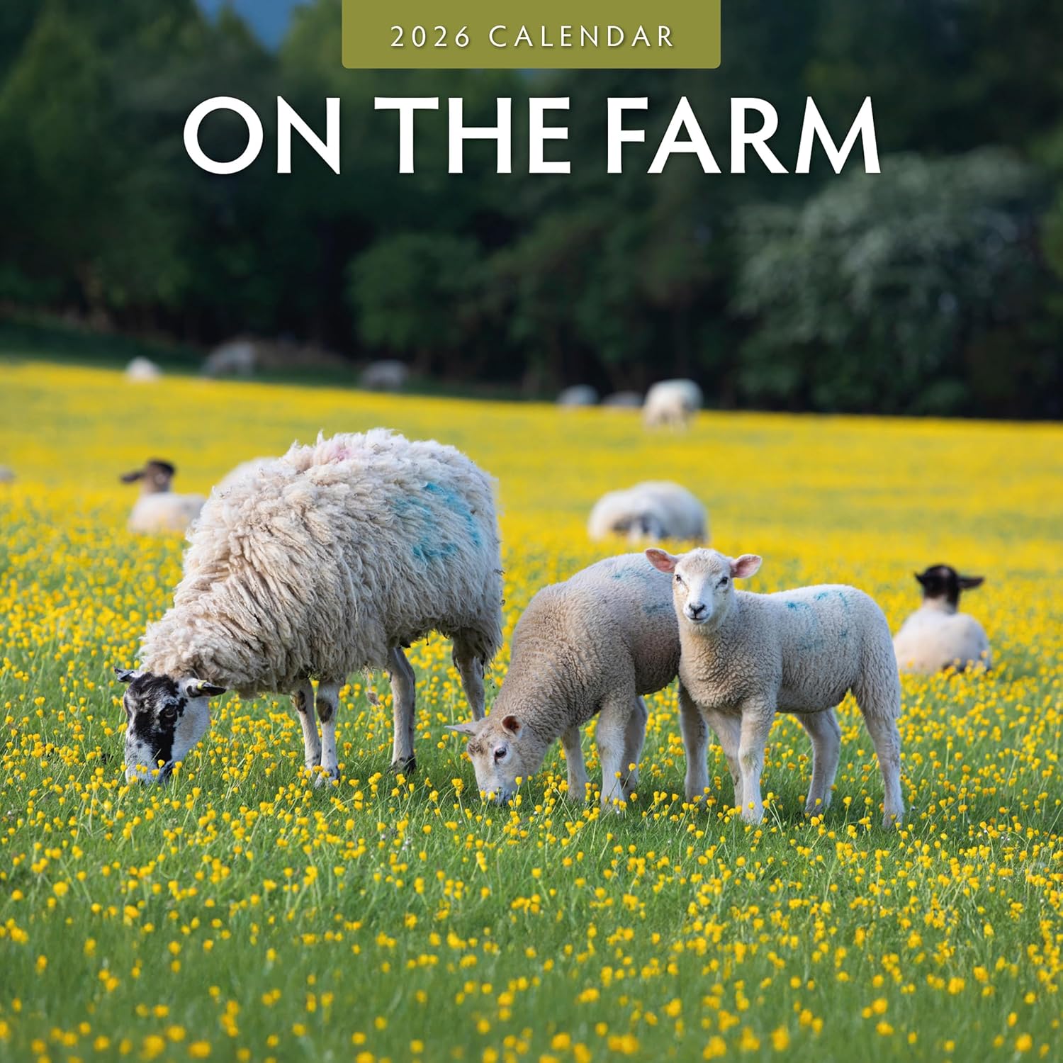 Red Robin 2026 On The Farm Monthly Wall Calendar | 12" x 24" Open | Premium Thick & Sturdy Paper | Hangable 12 Month Calendar | Lined Notes & To Do Area | Vivid Images | Plastic Free