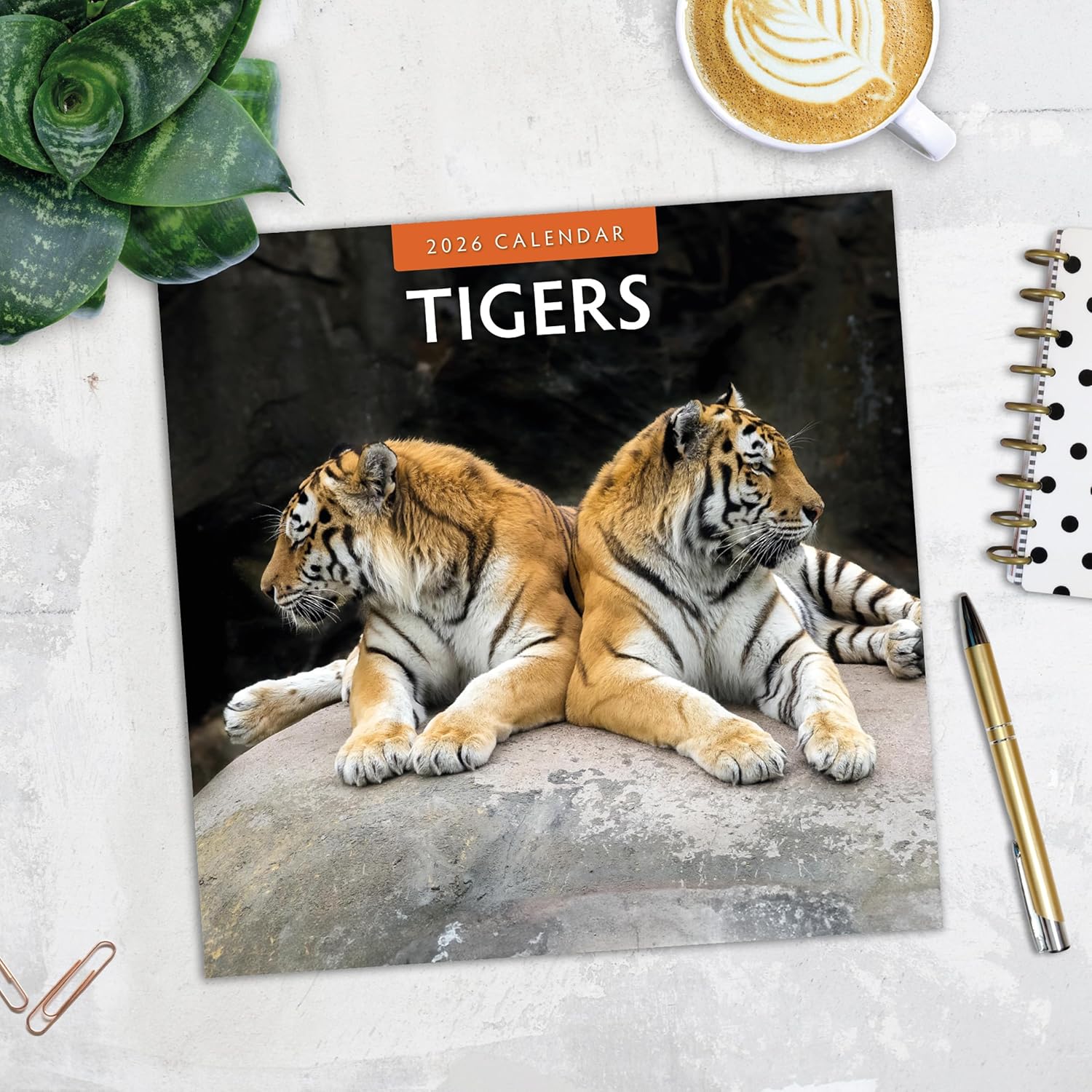 Red Robin 2026 Tigers Monthly Wall Calendar | 12" x 24" Open | Premium Thick & Sturdy Paper | Hangable 12 Month Calendar | Lined Notes & To Do Area | Vivid Images | Plastic Free