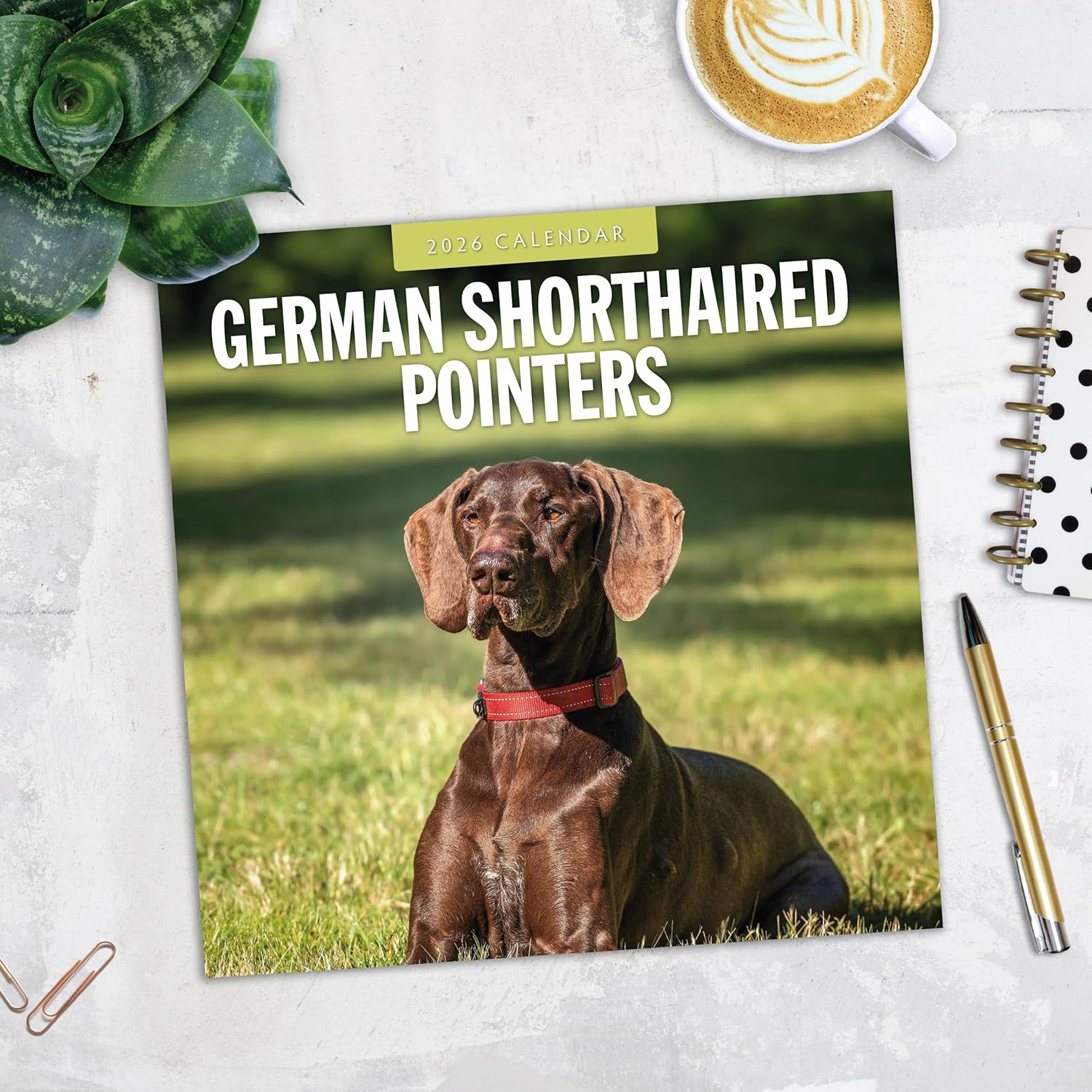 Red Robin 2026 German Shorthaired Pointers Monthly Wall Calendar | 12" x 24" Open | Premium Thick & Sturdy Paper | Hangable 12 Month Calendar | Lined Notes & To Do Area | Vivid Images | Plastic Free