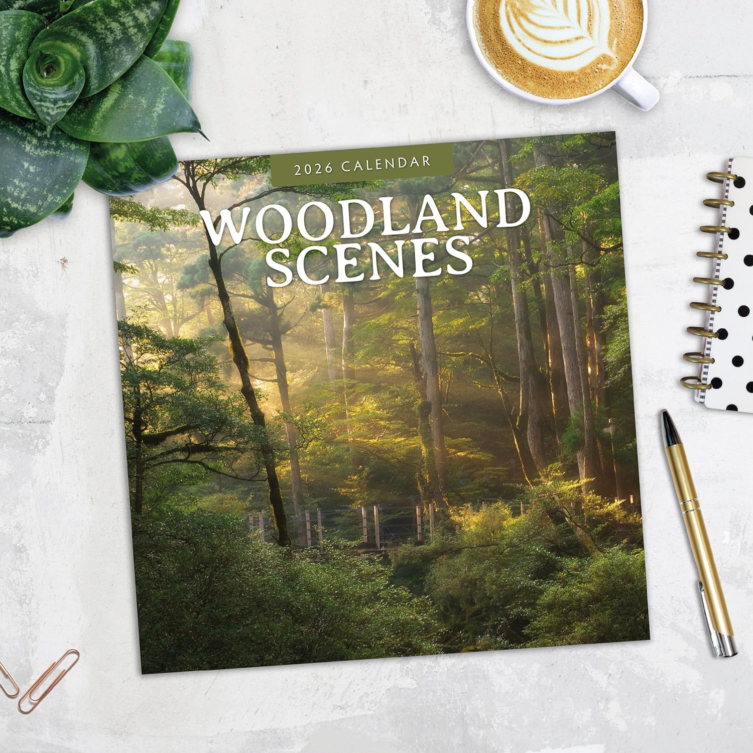 Red Robin 2026 Woodland Scenes Monthly Wall Calendar | 12" x 24" Open | Premium Thick & Sturdy Paper | Hangable 12 Month Calendar | Lined Notes & To Do Area | Vivid Images | Plastic Free