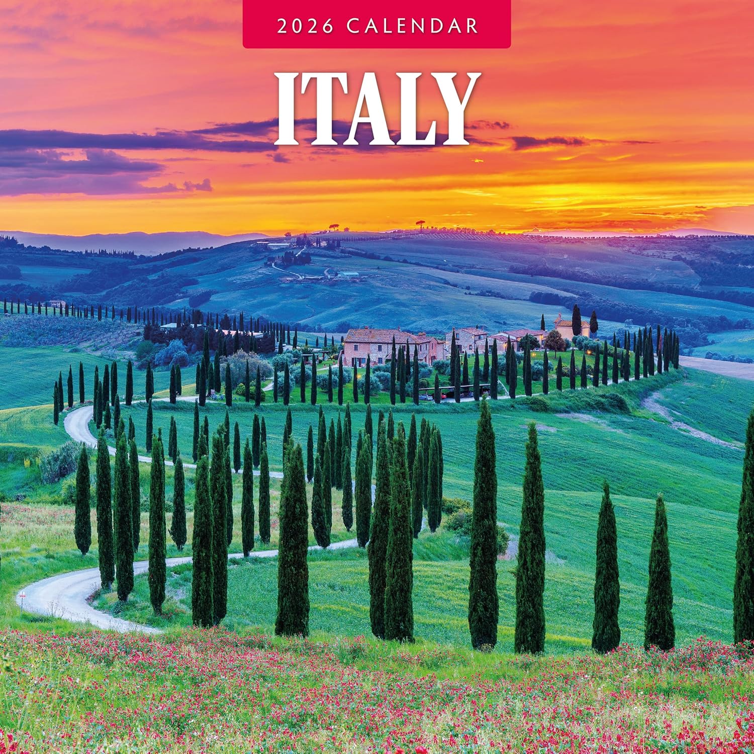 Red Robin 2026 Italy Monthly Wall Calendar | 12" x 24" Open | Premium Thick & Sturdy Paper | Hangable 12 Month Calendar | Lined Notes & To Do Area | Vivid Images | Plastic Free
