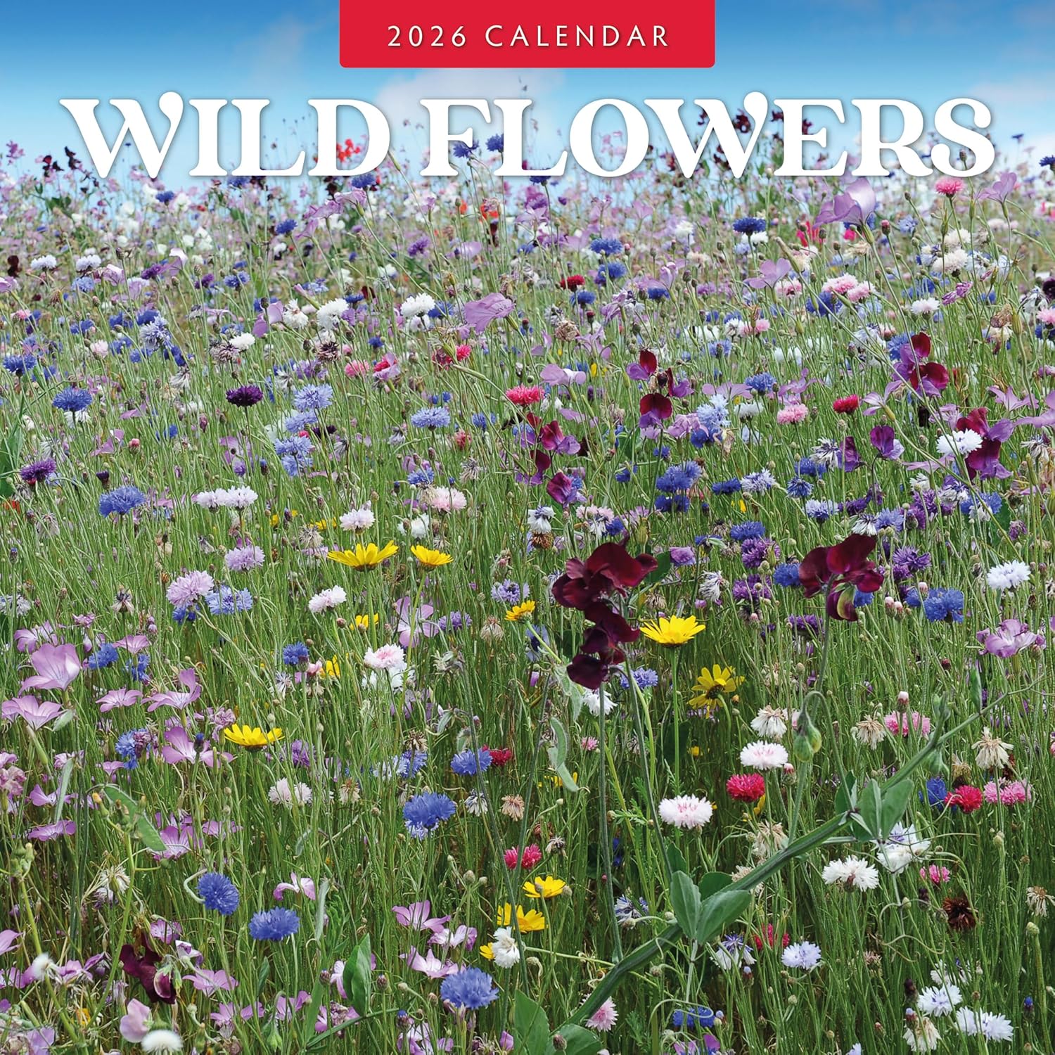 Red Robin 2026 Wild Flowers Monthly Wall Calendar | 12" x 24" Open | Premium Thick & Sturdy Paper | Hangable 12 Month Calendar | Lined Notes & To Do Area | Vivid Images | Plastic Free